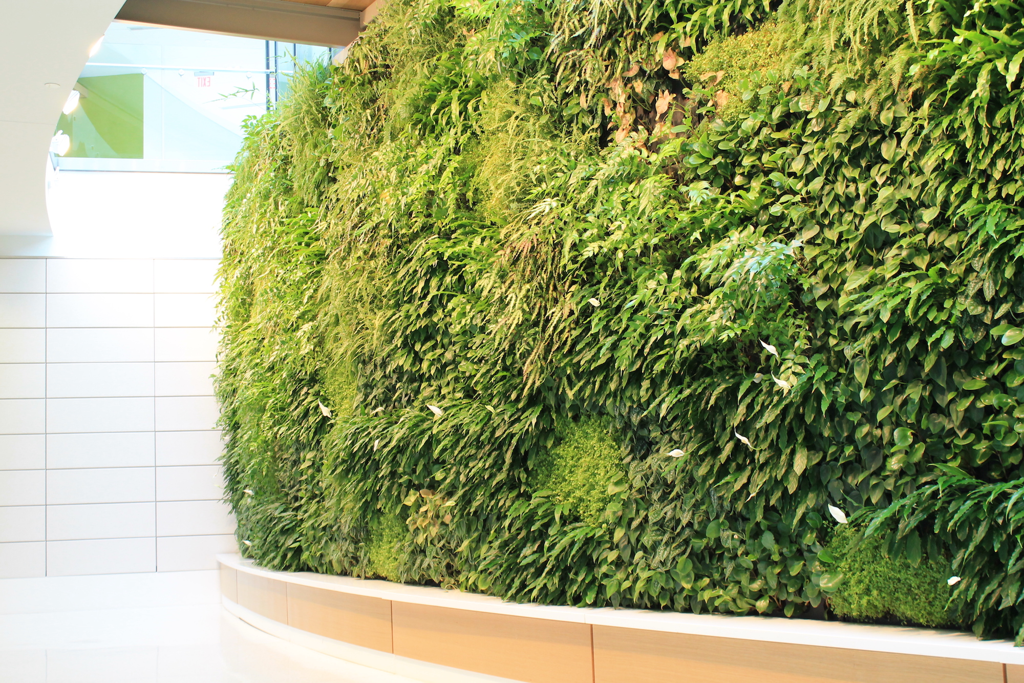 Eco-friendly design in Qatar